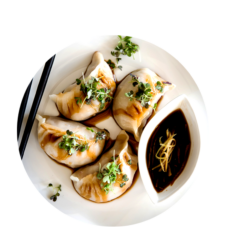 shandong Chinese kitchen Chicken Dumplings